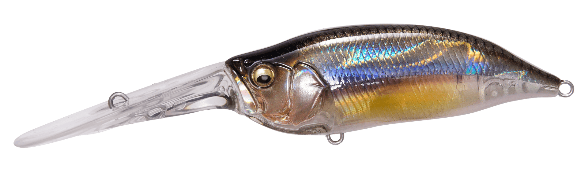 Megabass IXI Shad TX