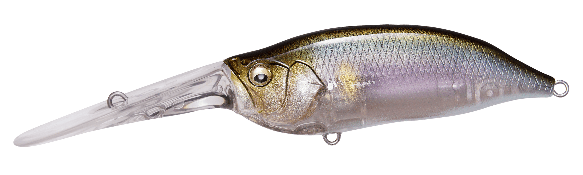Megabass IXI Shad TX (Ito Ayu) - The Tackle Trap