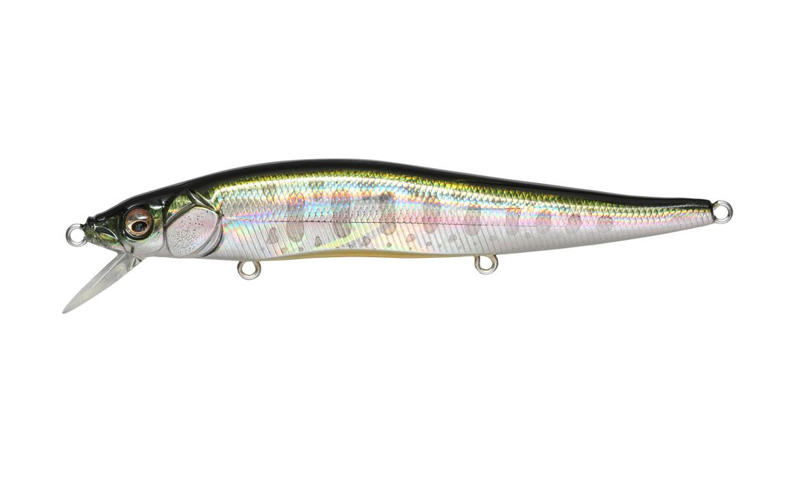 Megabass Vision 110