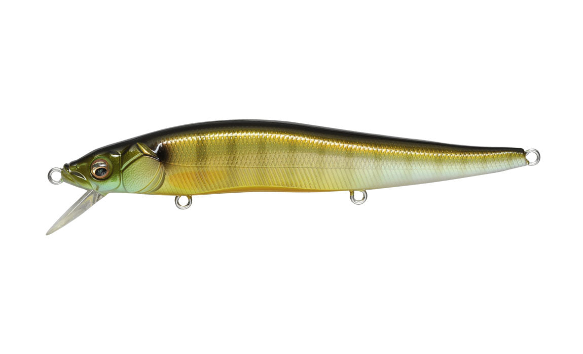 Megabass Vision 110