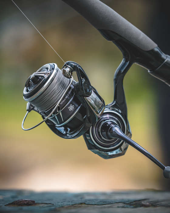 Tackle World Mackay - DAIWA TATULA TWS 300 is ready to take the lead! First  time ever T-Wing System (TWS) is embedded to 300-size baitcasting reel.  This is a perfect combination for