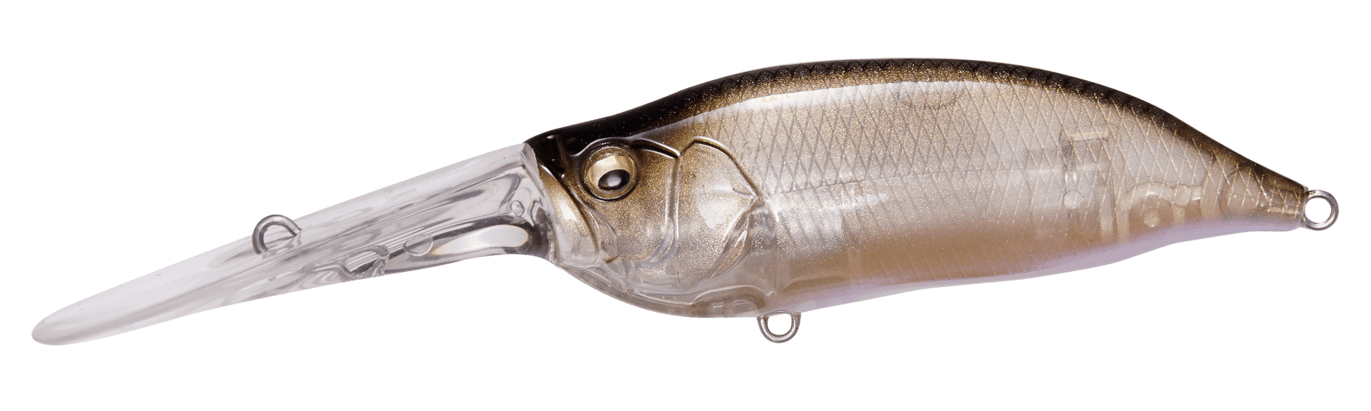 Megabass IXI Shad TX